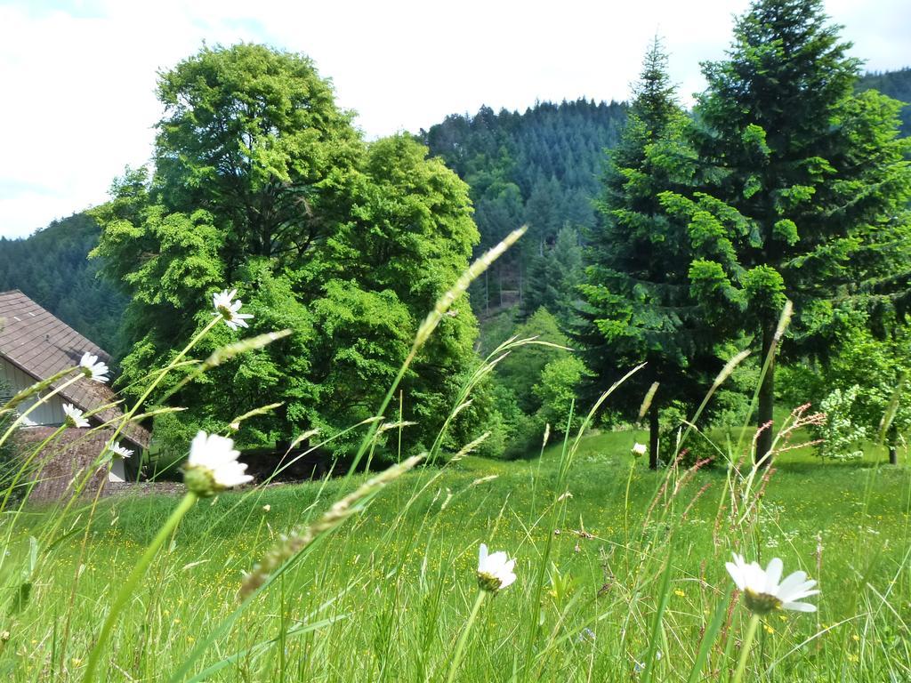 Baumanns Landhaus Durbach Exterior photo